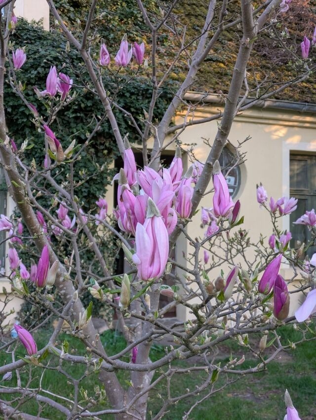 Ferienwohnung in Carinerland - Bauwagen am Rande der Welt - Bild 23