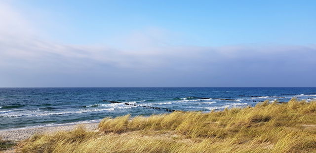 Ferienwohnung in Wustrow - Strandl&ouml;per - Bild 20