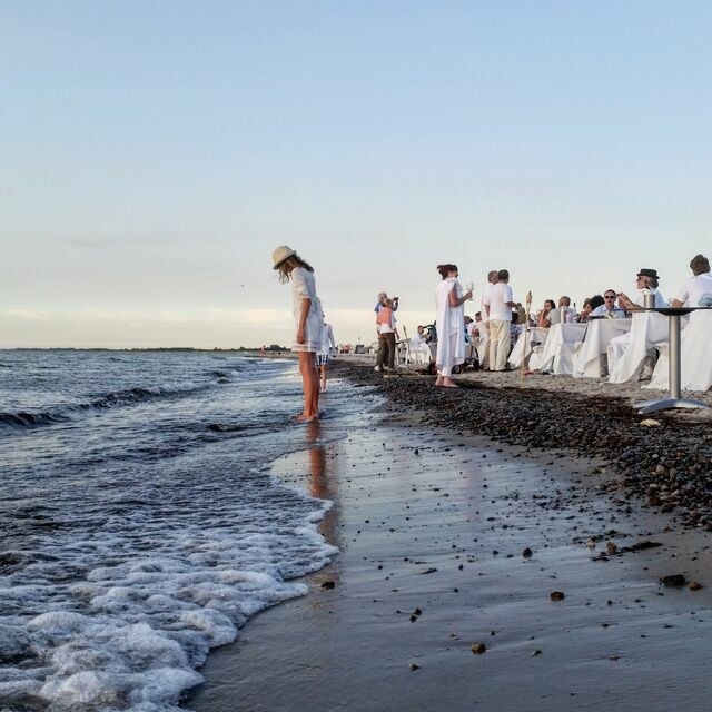 Ferienwohnung in Ostseeheilbad Zingst - Kranich - Bild 15