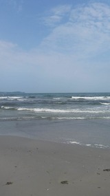 Ferienwohnung in Neddesitz - Whg.313, 1-R-St&uuml;bchen - Bild 11