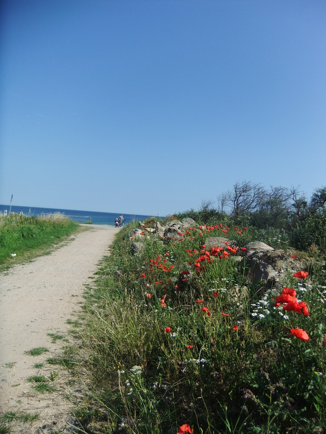 Ferienwohnung in K&auml;gsdorf - Landhaus Ostseeblick - Bild 10
