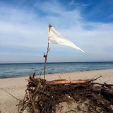Ferienwohnung in Hagen - Hof Uhleck am K&ouml;nigsstuhl 3 - Bild 3