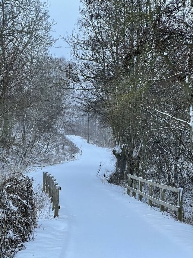 Ferienwohnung in Steinbeck - MP 3 K&uuml;stenkind - Bild 18