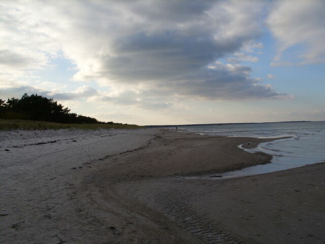 Ferienwohnung in Prerow - FeWo Seeadler - Heuser Prerow - Bild 16