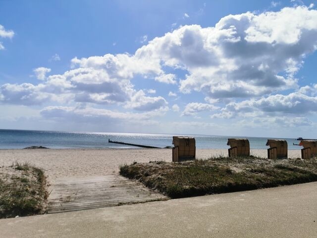 Ferienwohnung in Kellenhusen - Rosa Canina, W4 - Bild 21