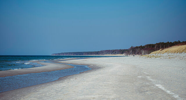 Ferienwohnung in Ahrenshoop - Strandblick 3 - Bild 9