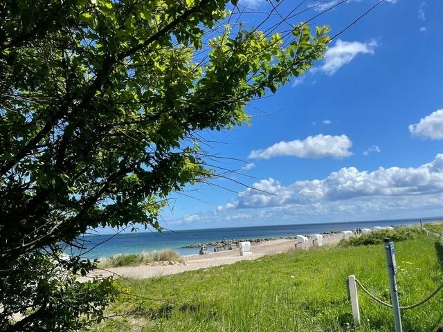 Ferienwohnung in Brodersby - Strand Ferien, Ostsee Urlaub, Ferienwohnung am Strand in Schlei N&auml;he , Umgebung von Kappeln u. Damp - Bild 15