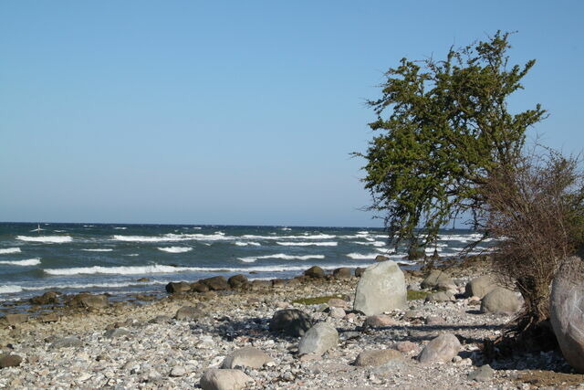 Ferienwohnung in Fehmarn OT Bannesdorf - Ferienhaus zur Wiese Whg. "Fasan" - Bild 9