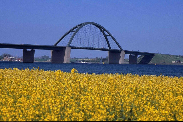 Ferienwohnung in Gro&szlig;enbrode - Sonnenschein 25 - Gro&szlig;enbrode - Bild 23