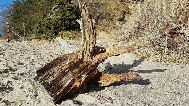 Ferienwohnung in L&uuml;tow - Zeit f&uuml;r Erholung, Ferienhaus A&C Prudlo, Usedom - Bild 21