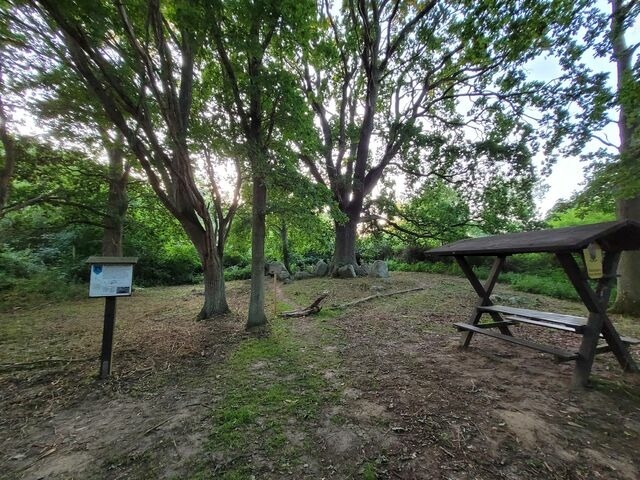 Ferienhaus in L&uuml;tow - Familien Ferienhaus Usedom Familie Stopp Haus 25 - gro&szlig;er Garten - Bild 10