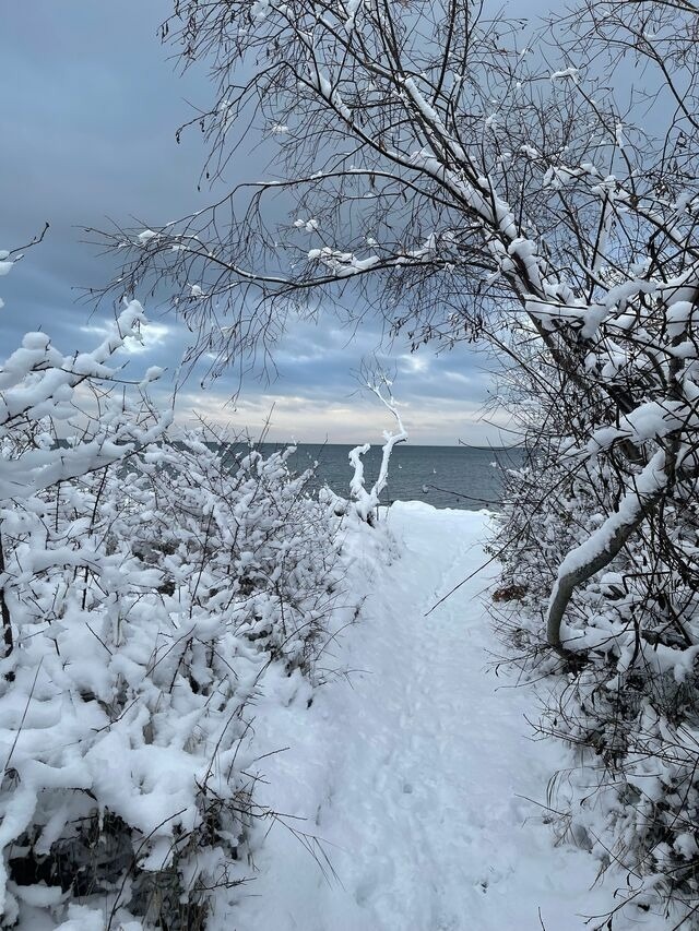Ferienwohnung in Gahlkow - Strandperle 2 - Bild 17