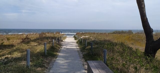 Ferienwohnung in Zinnowitz - Ostseeoase Zinnowitz - Bild 21