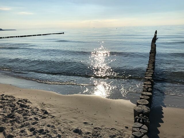 Ferienwohnung in Rostock - D&uuml;nenhopser - Bild 16