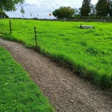 Ferienwohnung in Rieseby - Norby Garden Westw&auml;rts - Bild 8