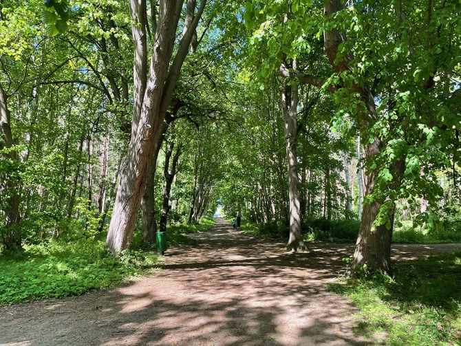 Ferienwohnung in K&uuml;hlungsborn - Ferienwohnung Molli - Riviera K&uuml;hlungsborn - Bild 22