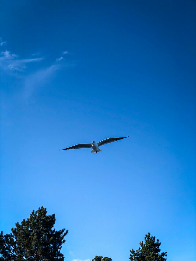 Ferienhaus in Gl&uuml;cksburg - Ferienhaus Innenf&ouml;rde - Bild 13