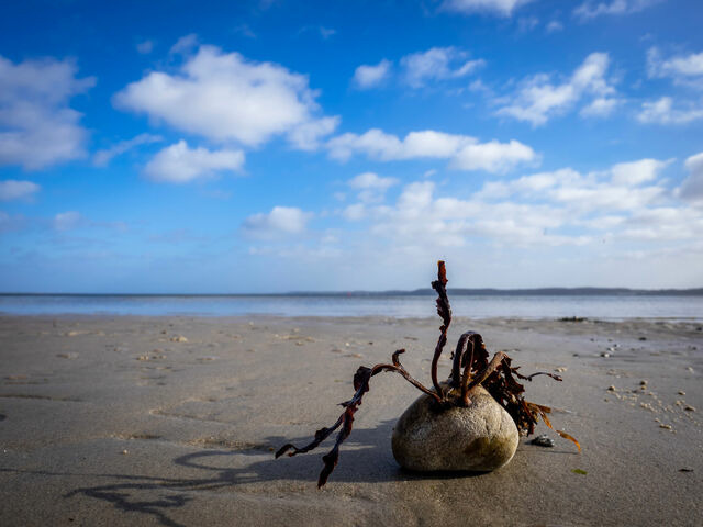 Ferienhaus in Gl&uuml;cksburg - Ferienhaus Innenf&ouml;rde - Bild 14