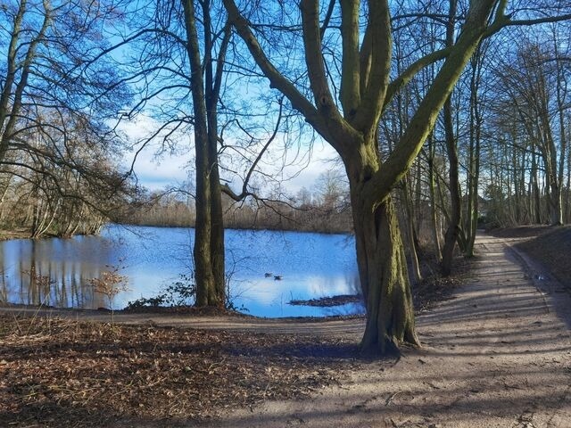 Ferienwohnung in S&uuml;derbrarup - Ferienwohnung Casa Silenzio - Bild 17