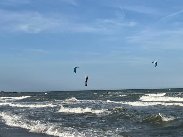 Ferienwohnung in Wagersrott - Zirkuswagen auf dem L&auml;mmerhof - Bild 24