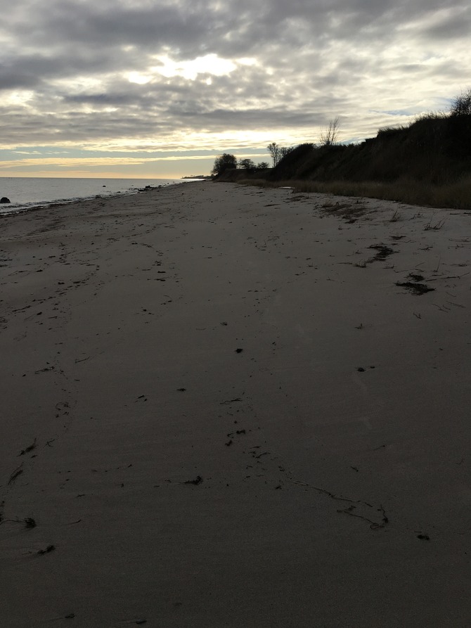 Ferienhaus in Ostermade - Ferienhaus Ostermade - Bild 16