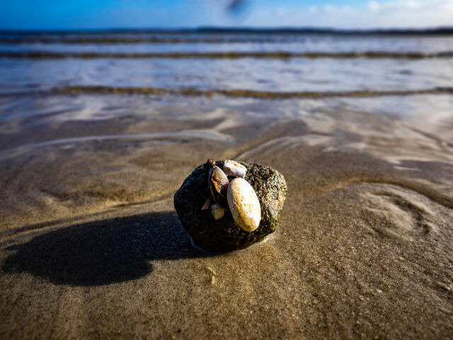 Ferienwohnung in Gl&uuml;cksburg - Ferienwohnung Gl&uuml;cks-Burg "Sonne" - Bild 18