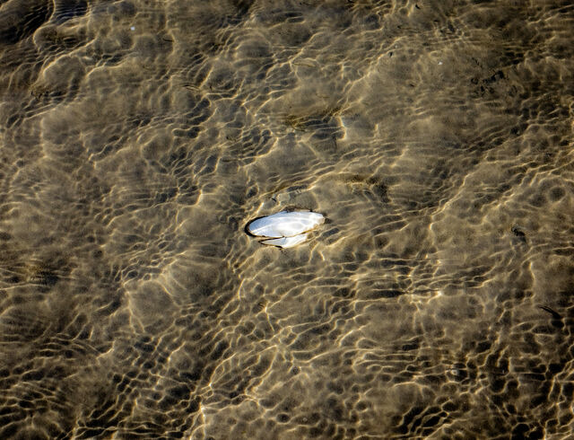 Ferienwohnung in Gl&uuml;cksburg - Ferienwohnung Gl&uuml;cks-Burg "Sonne" - Bild 21