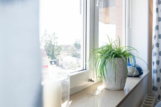 Ferienwohnung in Gr&ouml;mitz - Haus Meeresgru&szlig; Sunshine - Bild 6