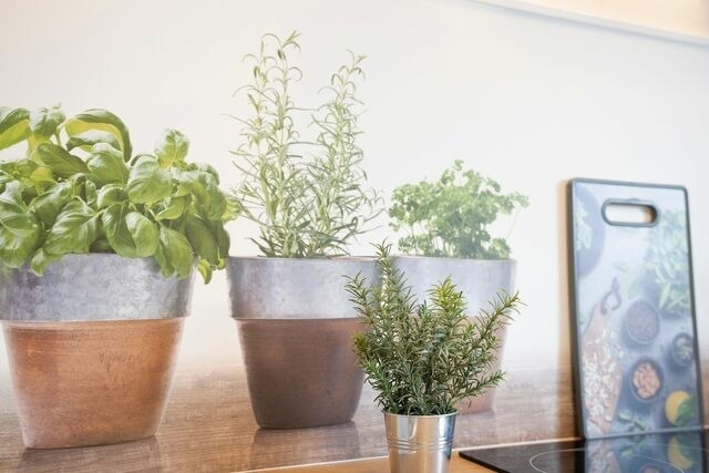 Ferienwohnung in Klenzau - Daddeldu - Bild 18