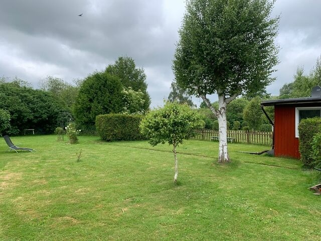 Ferienhaus in Semlow - Zur Schwalbe 8 - Bild 4