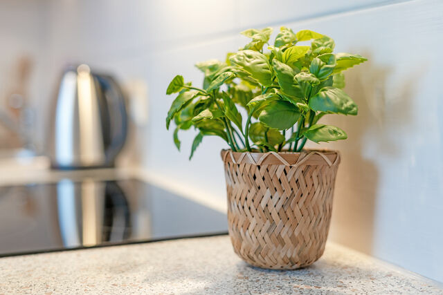 Ferienhaus in Kellenhusen - Haus 1 Matrose - Bild 16